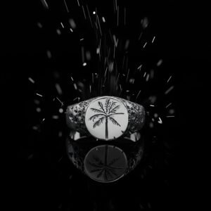 Aeternum Palm Signet