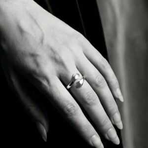 Silver Embrace Ring
